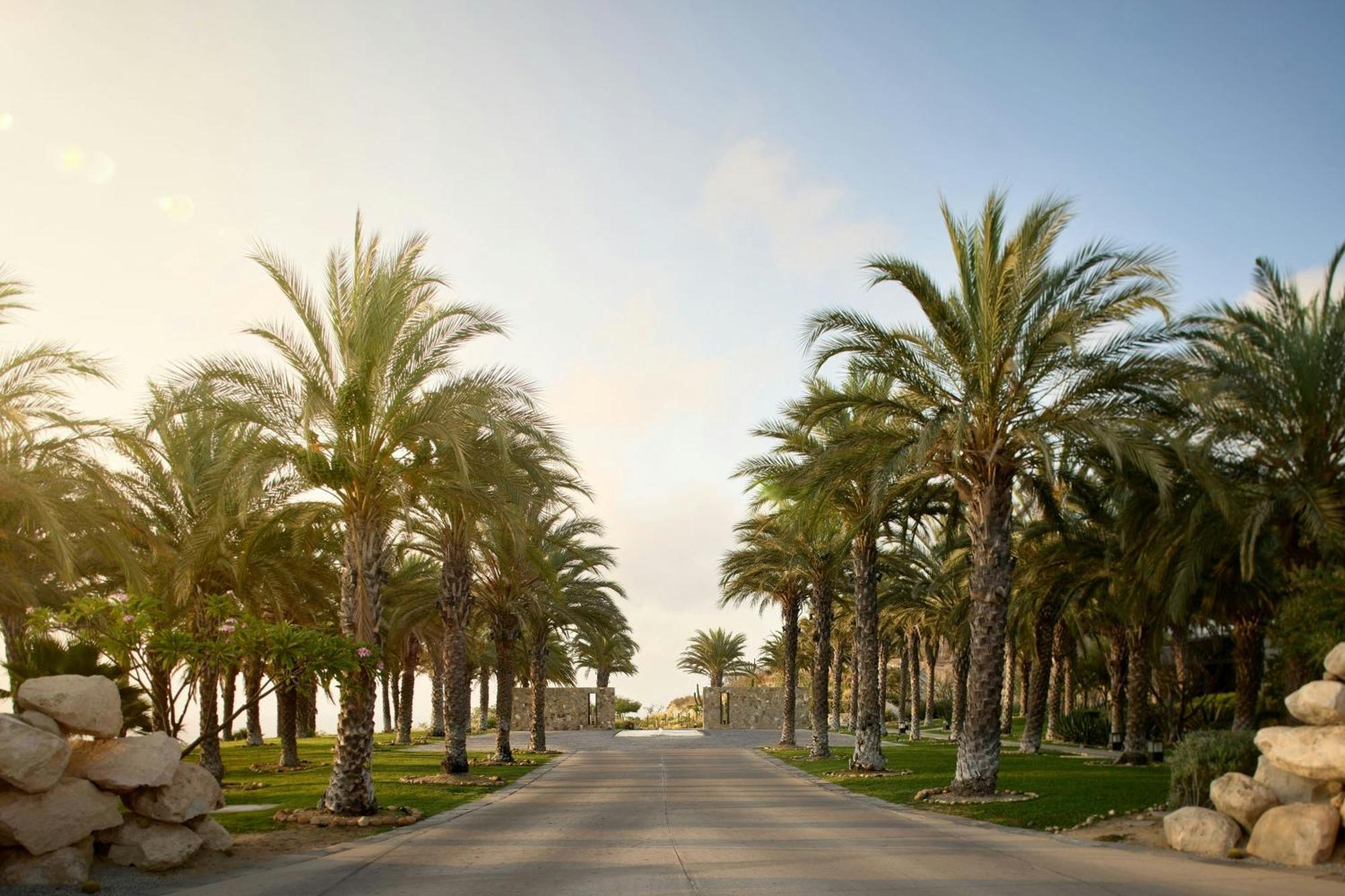 Zadun, A Ritz-Carlton Reserve San José del Cabo Kültér fotó